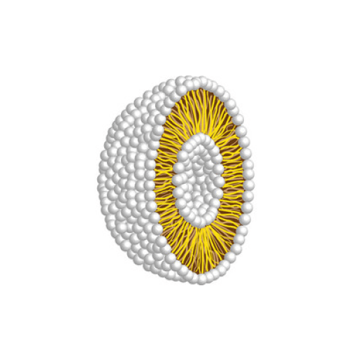 ナノサイズで成分をカプセル化